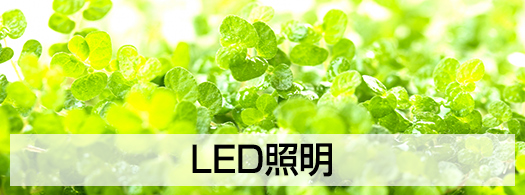 LED照明